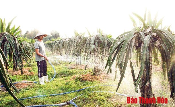 Huyện Thiệu Hóa quan tâm thực hiện Chương trình mỗi xã một sản phẩm.