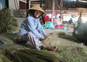 Hiệu quả từ nghề đan chổi đót xã Hoằng Trung