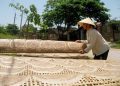 Thanh Hoá phát triển OCOP gắn với xây dựng nông thôn mới