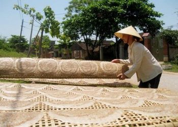 Thanh Hoá phát triển OCOP gắn với xây dựng nông thôn mới